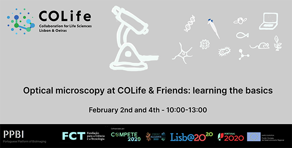 colife_optical_microscopy_2021.png