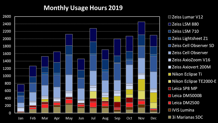monthly_usage_2019.png