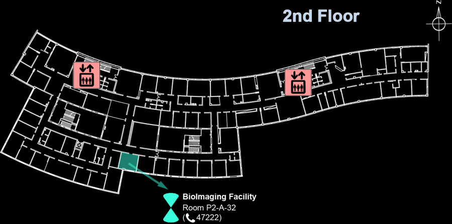 bioimaging_map_neg.png