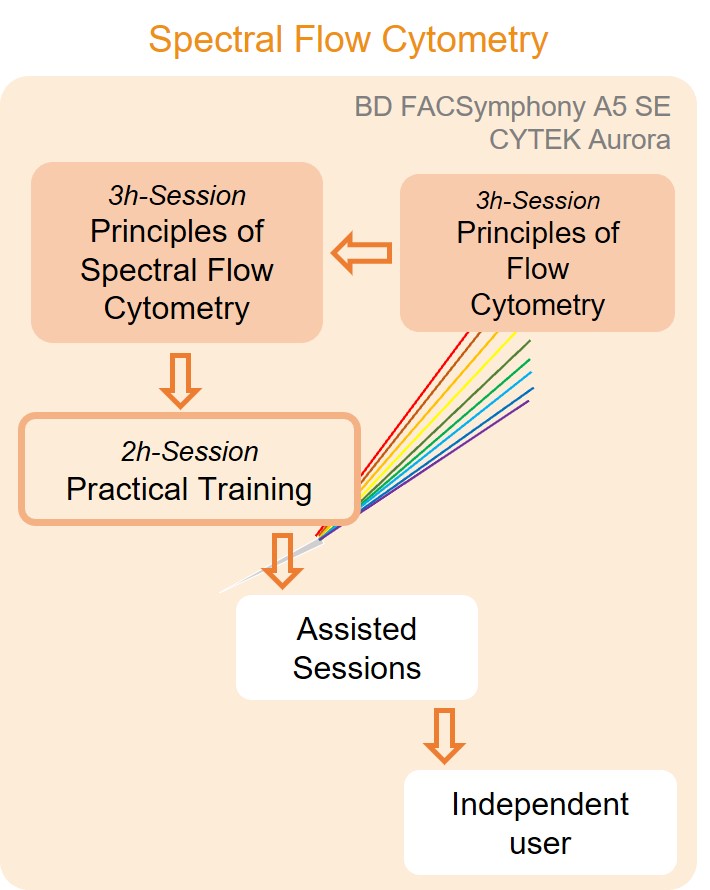 spectral_flow_cytometry_banner.jpg